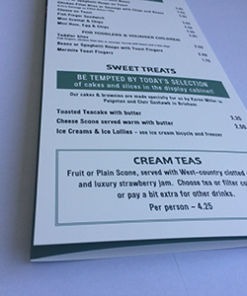 Plastic Menu folded